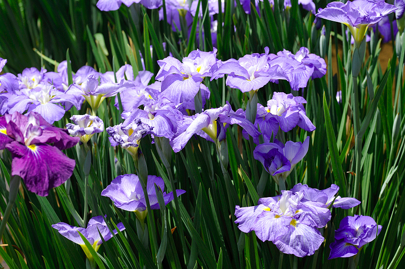 image0161
