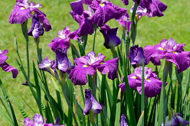 image0162