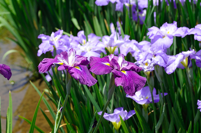 image0163