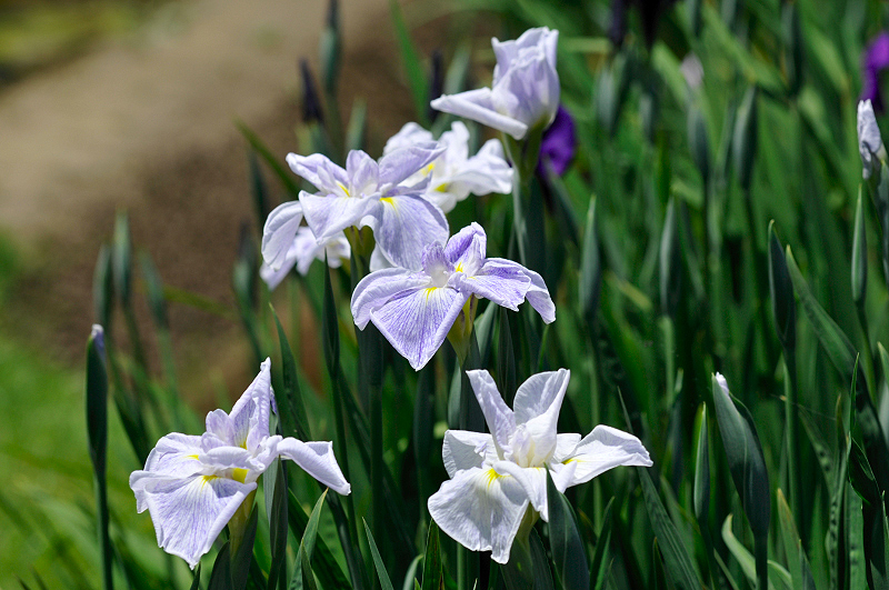 image0164