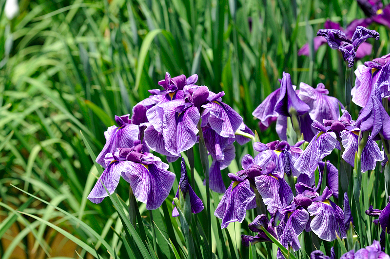 image0165
