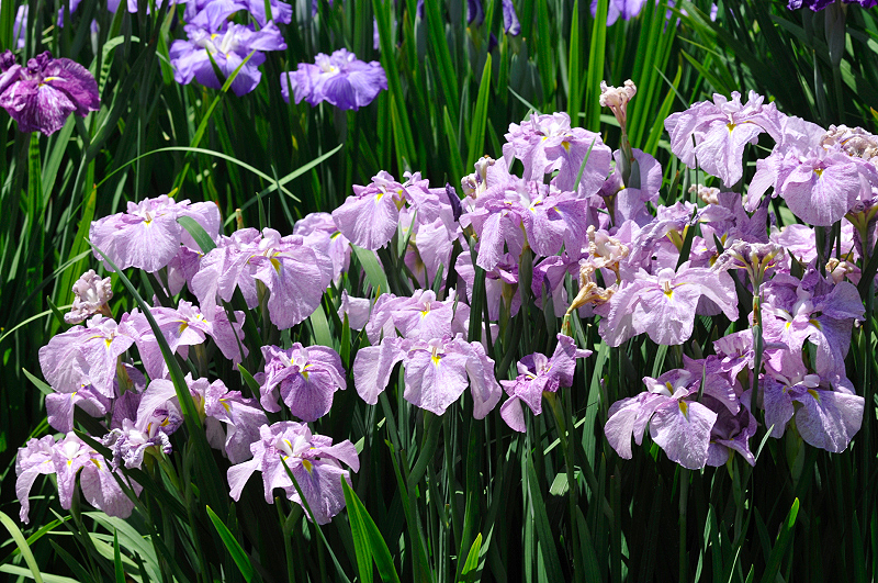 image0171