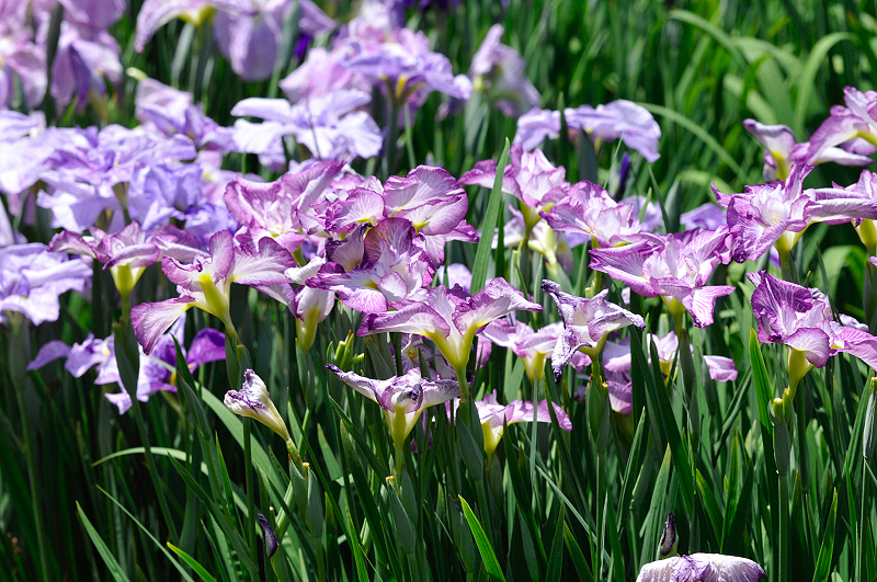 image0174