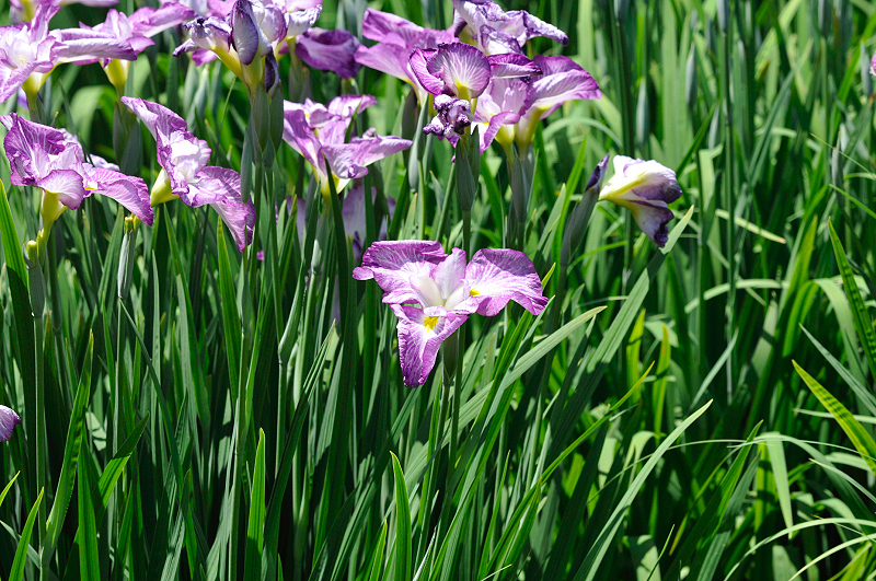 image0175