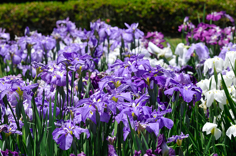 image0176