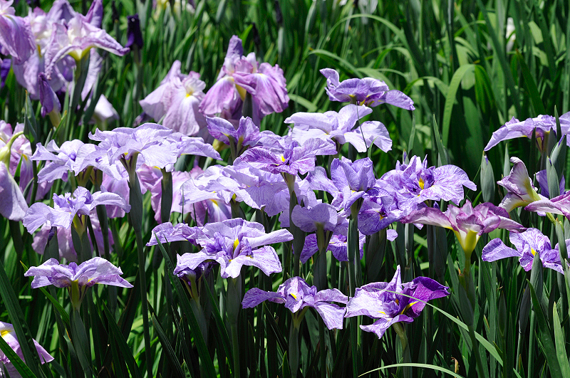 image0177