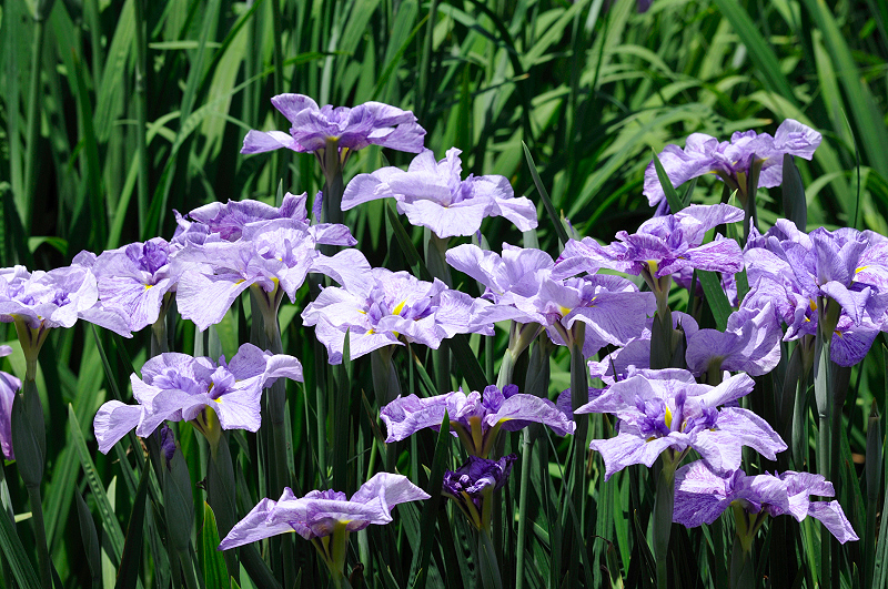 image0179