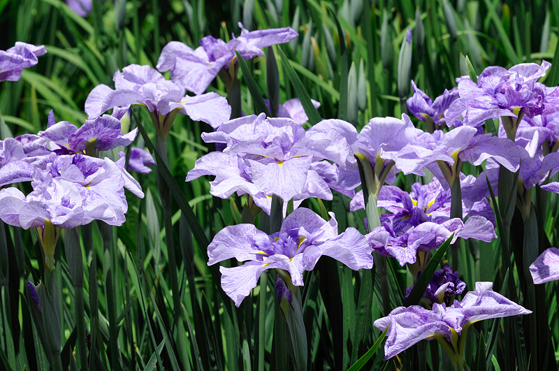 image0183