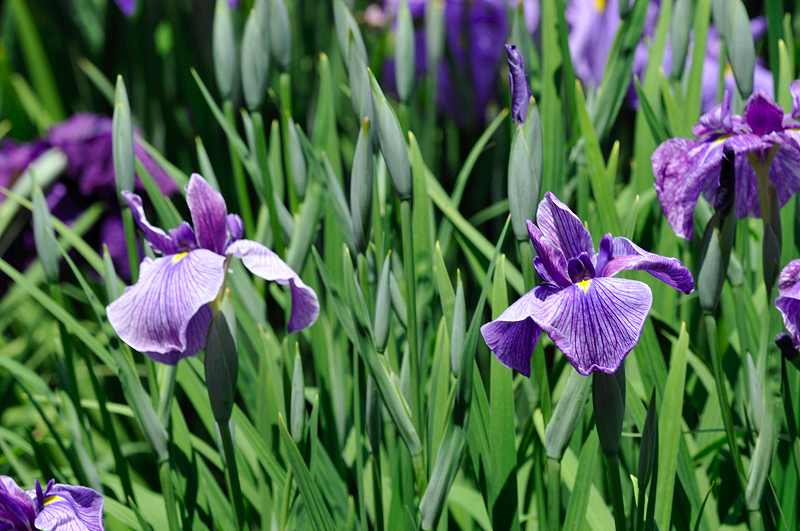 image0184
