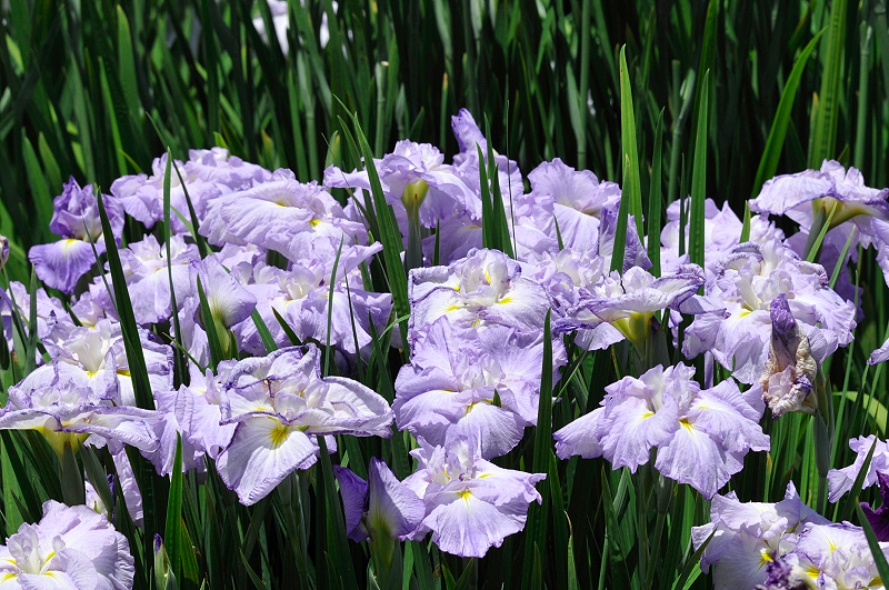 image0186