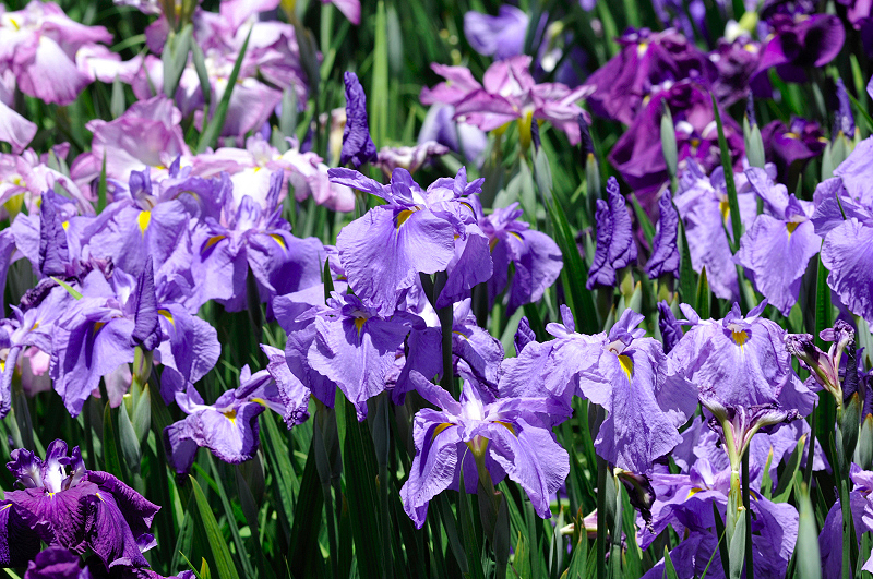 image0187