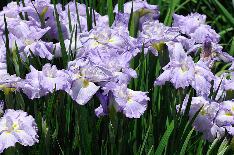 image0188