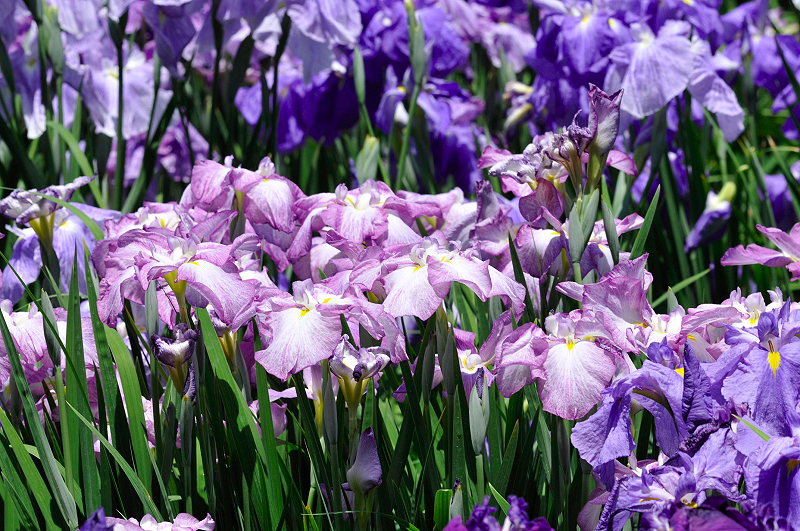 image0189