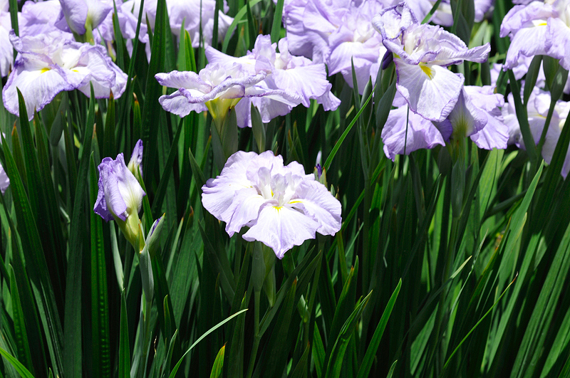 image0195