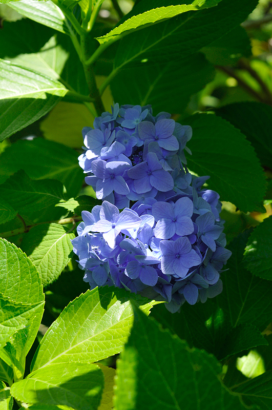 image0197