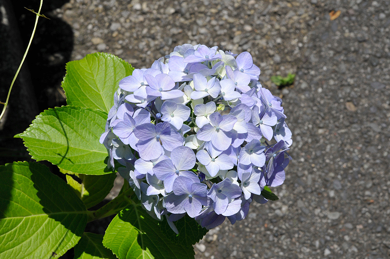 image0198