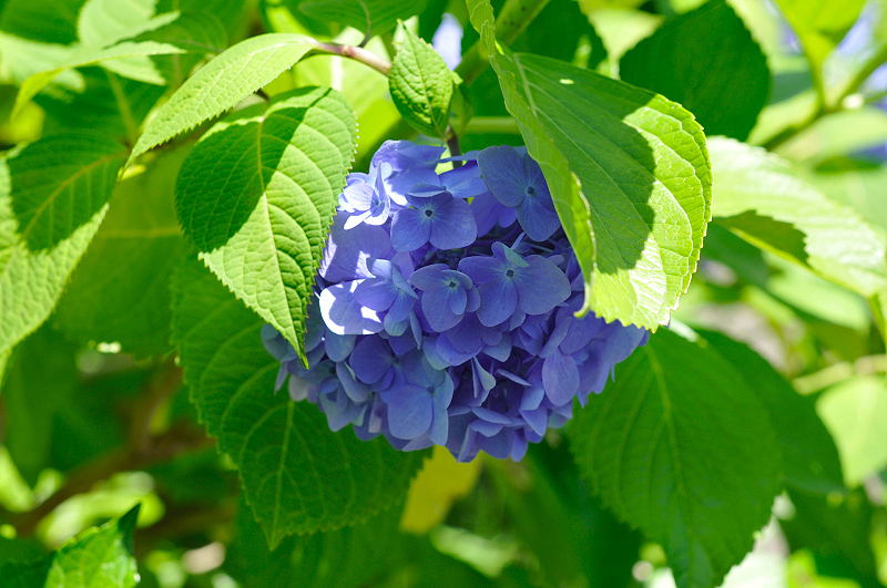 image0199