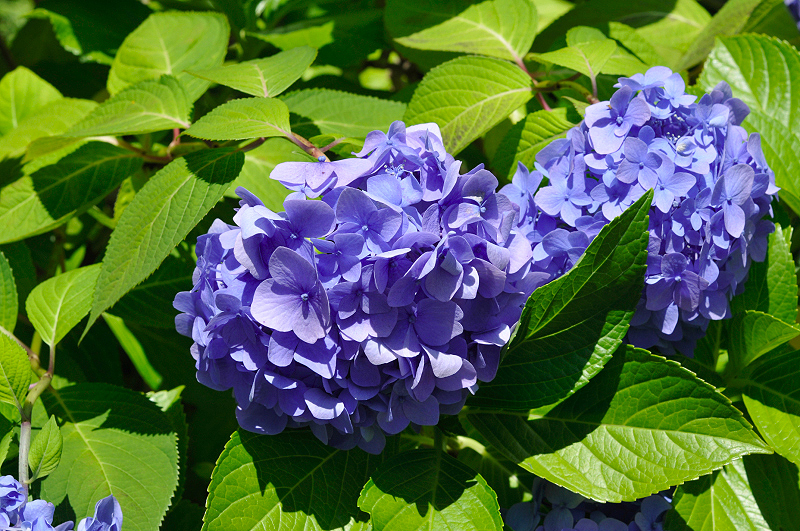 image0200