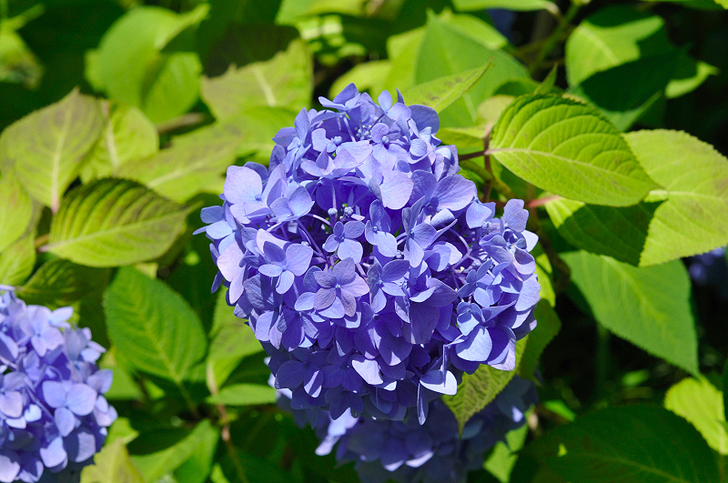 image0201