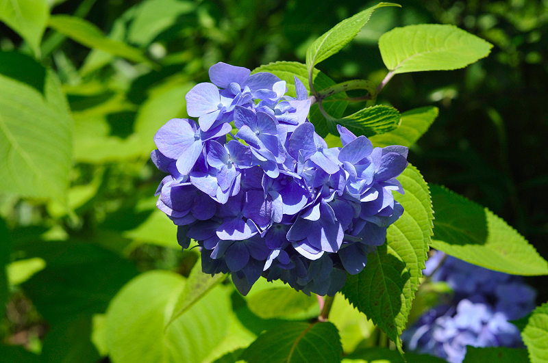 image0203