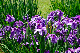 image0128