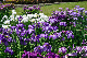 image0129