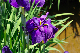 image0130