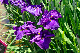 image0132