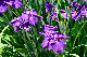 image0133