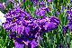 image0134