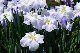 image0135