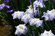 image0136