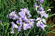 image0139