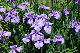 image0140