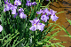 image0141