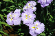 image0142