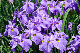 image0143