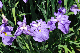image0144
