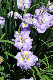 image0145