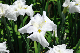 image0146