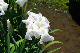 image0147