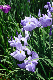 image0150