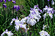 image0152