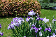 image0155