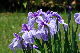 image0156
