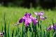 image0157
