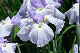 image0158