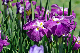 image0159