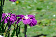 image0160