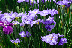 image0161
